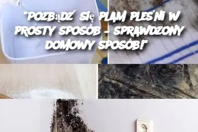 “Pozbądź się plam pleśni w prosty sposób – sprawdzony domowy sposób!”