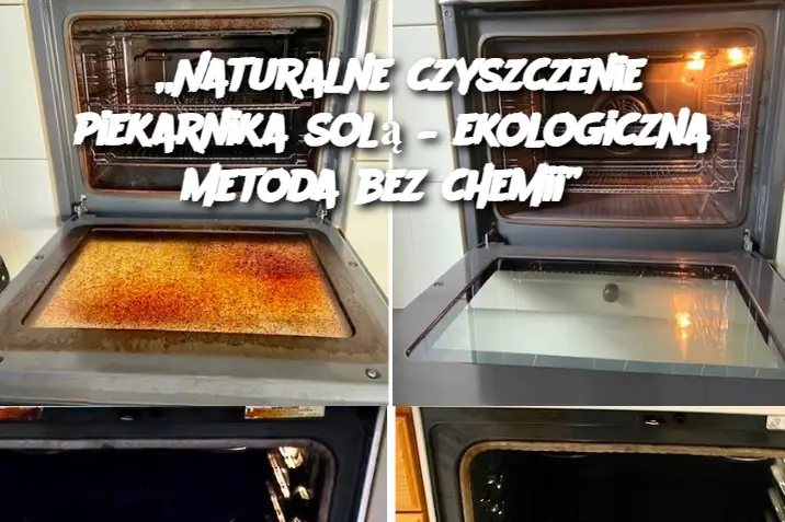 „Naturalne czyszczenie piekarnika solą – ekologiczna metoda bez chemii”