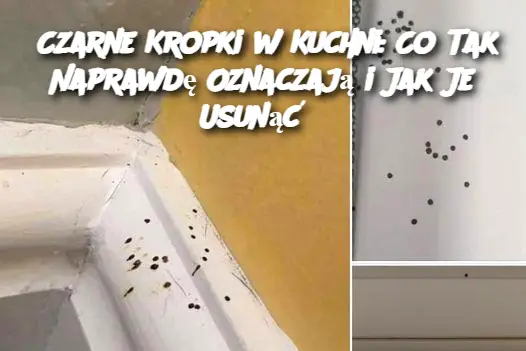 Czarne Kropki w Kuchni: Co Tak Naprawdę Oznaczają i Jak Je Usunąć?