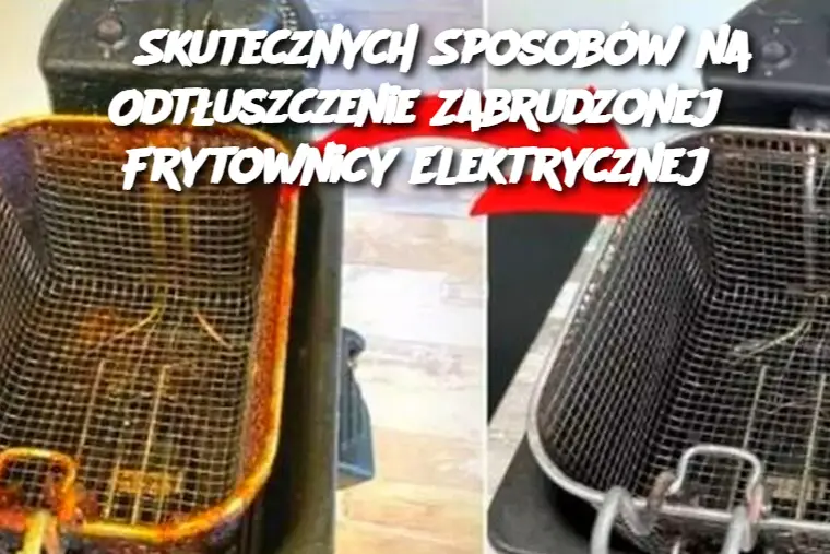 6 Skutecznych Sposobów na Odtłuszczenie Zabrudzonej Frytownicy Elektrycznej