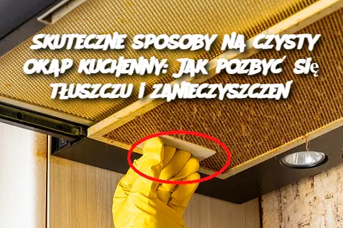 Skuteczne sposoby na czysty okap kuchenny: Jak pozbyć się tłuszczu i zanieczyszczeń