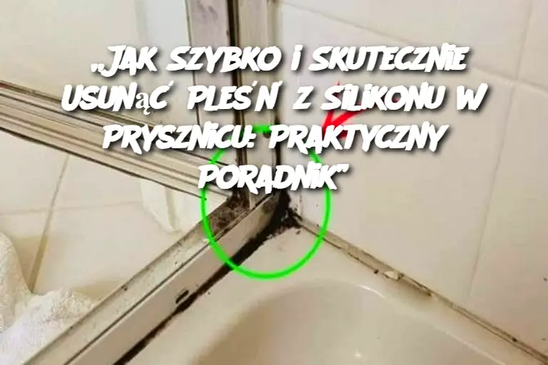 „Jak Szybko i Skutecznie Usunąć Pleśń z Silikonu w Prysznicu: Praktyczny Poradnik”