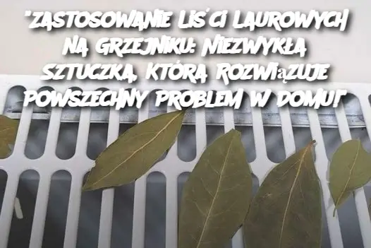 "Zastosowanie Liści Laurowych na Grzejniku: Niezwykła Sztuczka, Która Rozwiązuje Powszechny Problem w Domu!"