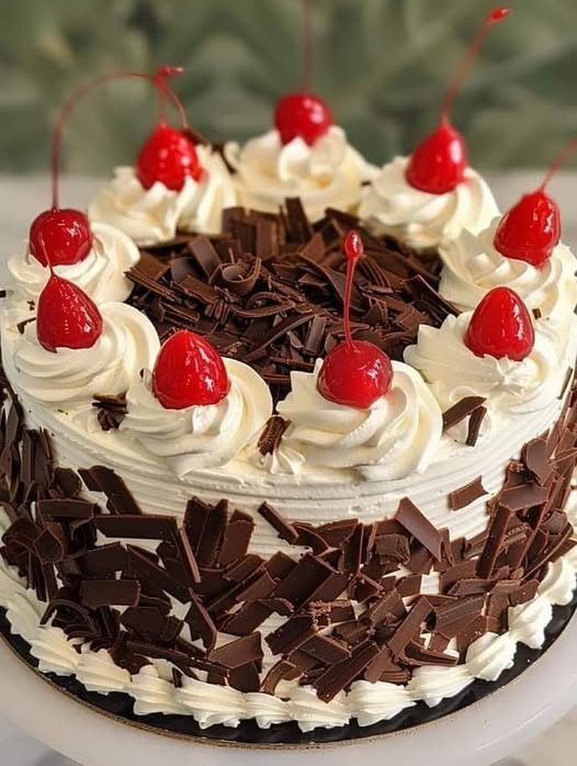 Black Forest Cake