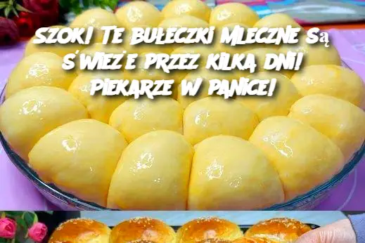 Szok! Te bułeczki mleczne są świeże przez kilka dni! Piekarze w panice!