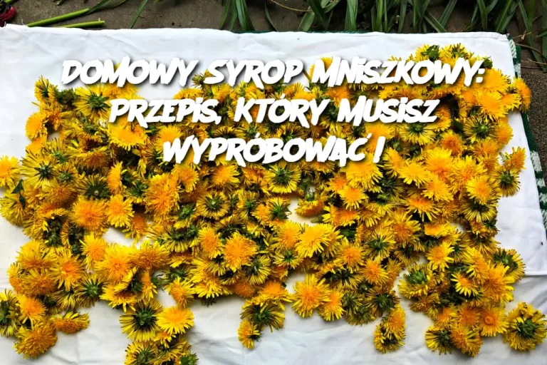 Domowy Syrop Mniszkowy: Przepis, Który Musisz Wypróbować!