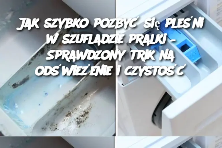 Jak szybko pozbyć się pleśni w szufladzie pralki – Sprawdzony trik na odświeżenie i czystość