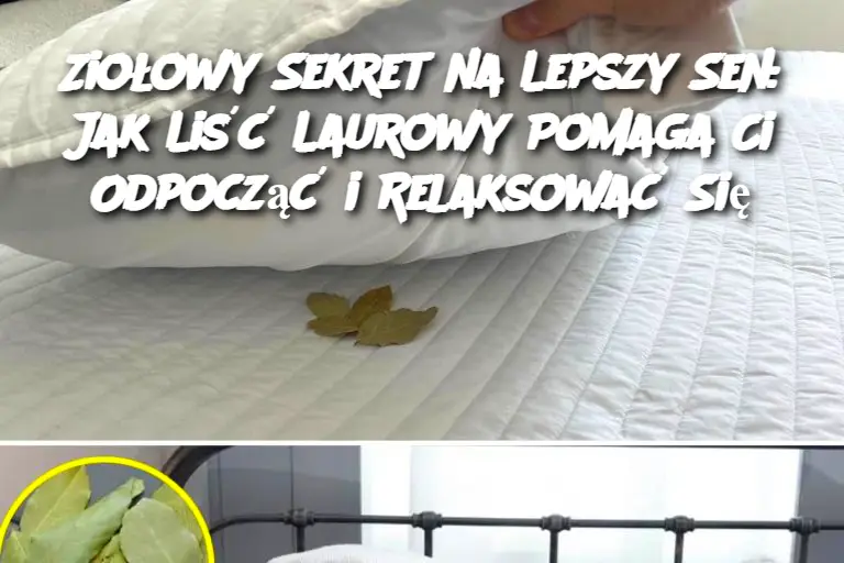 Ziołowy Sekret na Lepszy Sen: Jak Liść Laurowy Pomaga Ci Odpocząć i Relaksować Się